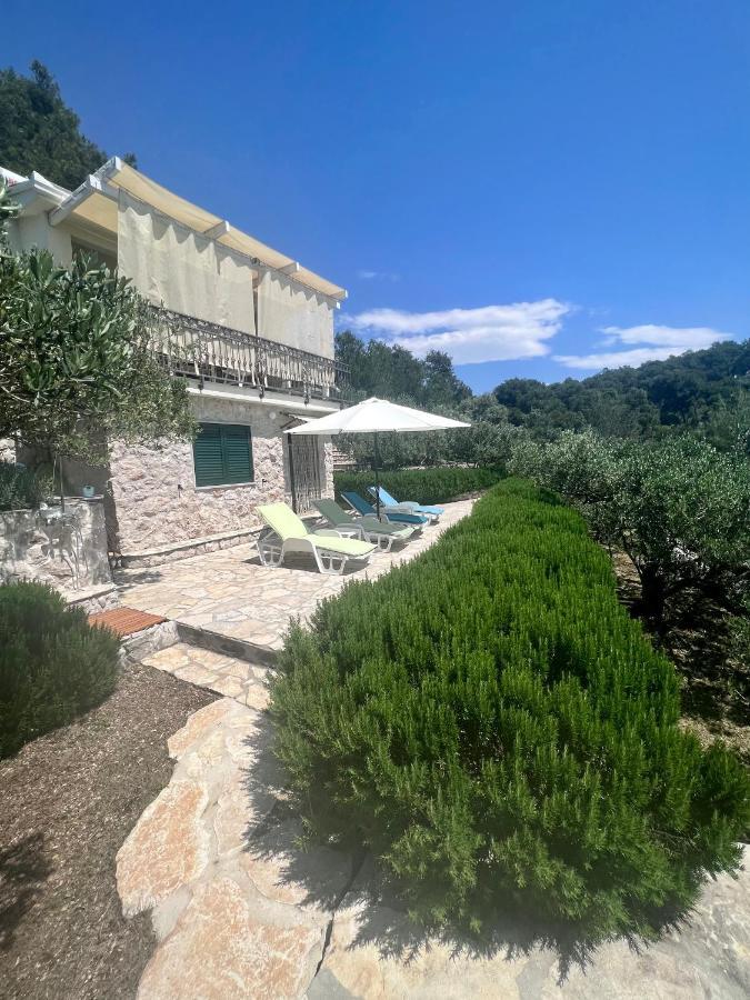 Beach House Blue Lagoon أوكغوك غورنيي المظهر الخارجي الصورة