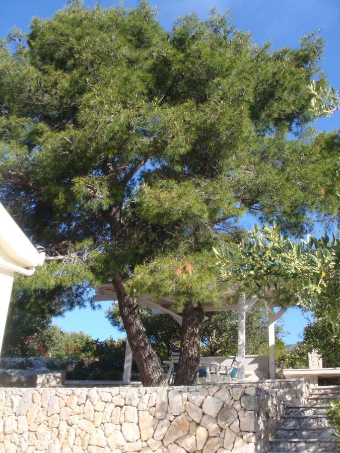 Beach House Blue Lagoon أوكغوك غورنيي المظهر الخارجي الصورة